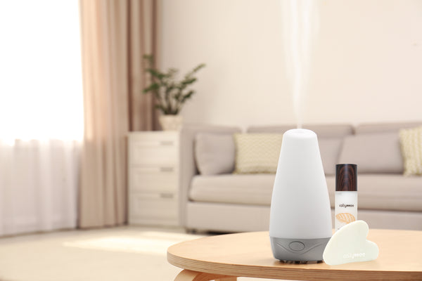 Are You Using a Humidifier? Why You Need One This Fall